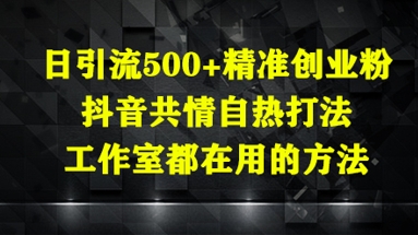 日引流500+精准创业粉，抖音共情自热打法，工作室都在用的方法-思维无限