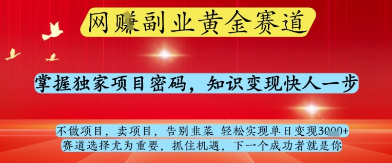 网创副业黄全赛道，掌握独家项目密码，知识变现快人一步，告别韭菜轻松实现单日变现1k+【揭秘】-思维无限