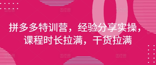 拼多多特训营，经验分享实操，课程时长拉满，干货拉满(更新25年4月)-思维无限